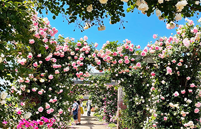 千曲川Medicalカフェ